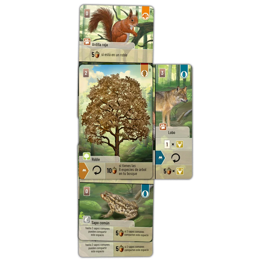 Contenido de Forest Shuffle